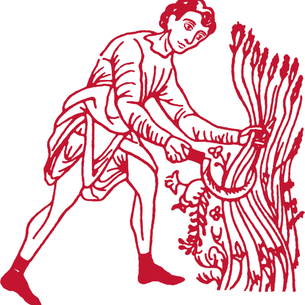 Logo FSHAA